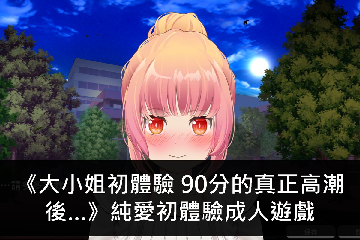 《大小姐初體驗 90分的真正高潮後…》純愛初體驗成人遊戲